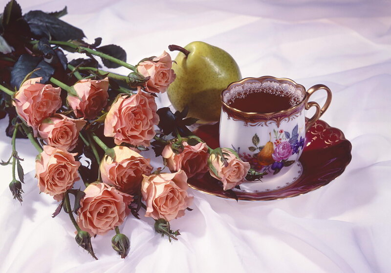 Roses and Tea Cup — White, Serene