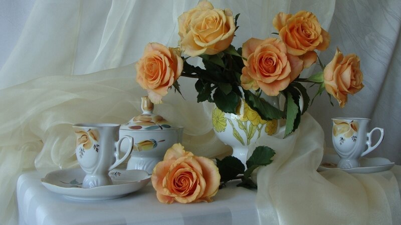 Roses and Tea Set — White, Serene, Photograph