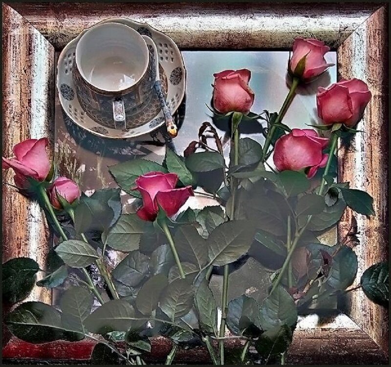 Roses and Teacup — Pink