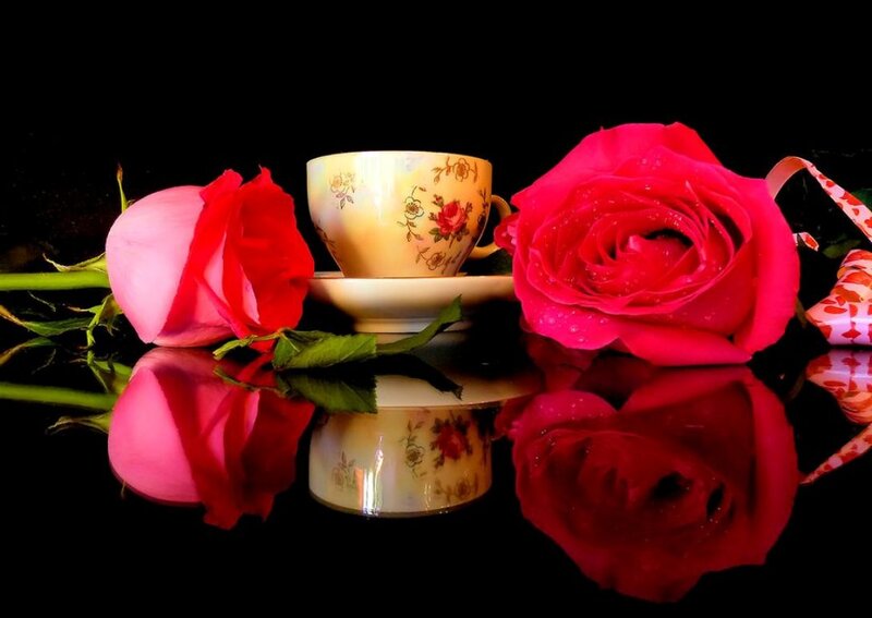 Roses and Teacup — Red
