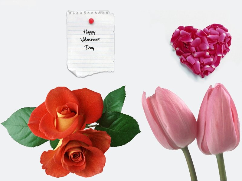Roses and Tulips