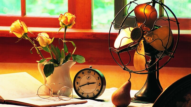 Roses and vintage fan on table