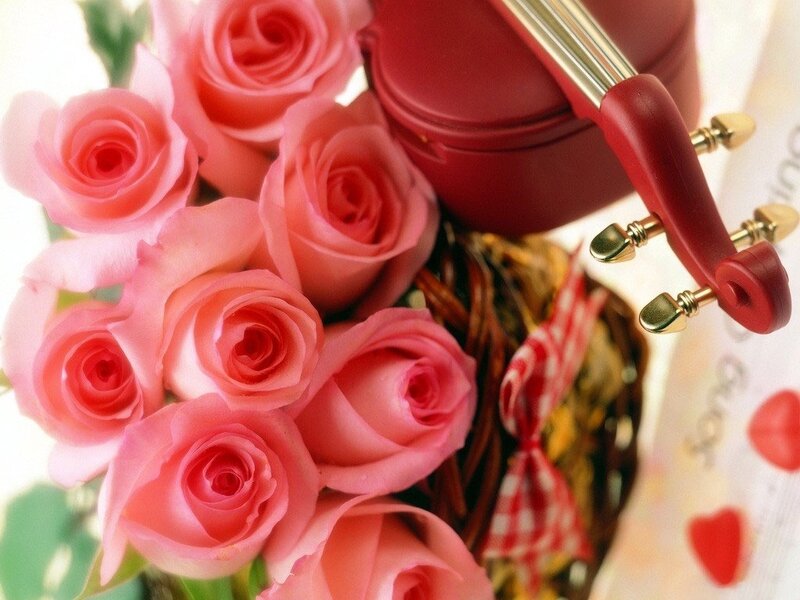 roses and violin in basket