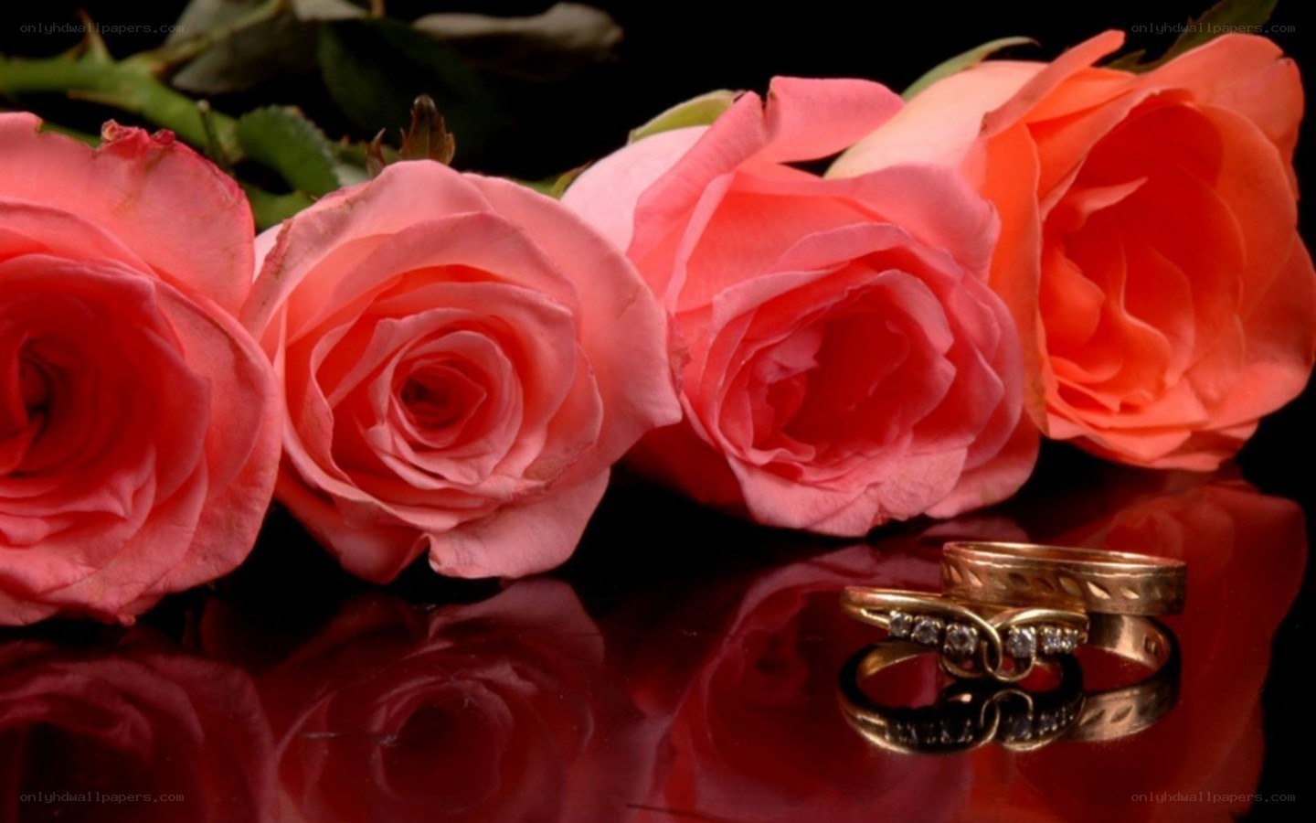 roses and wedding rings