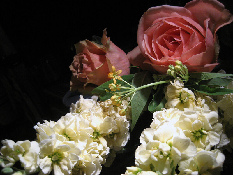 Roses and White Flowers