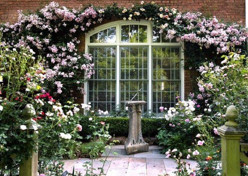 Roses Around Window