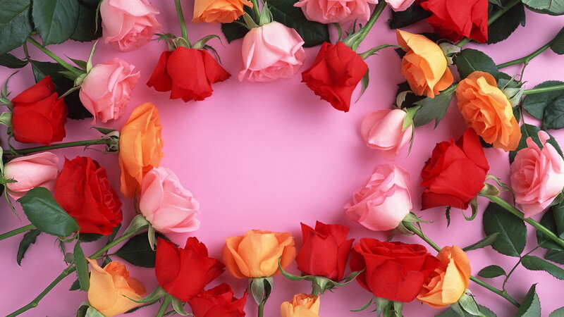 Roses Arranged in a Circle — Pink, Calm