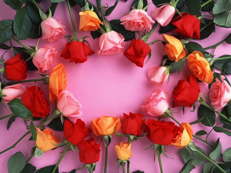 Roses Arranged in a Circle — Pink