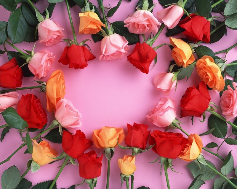 Roses Arranged in a Circle