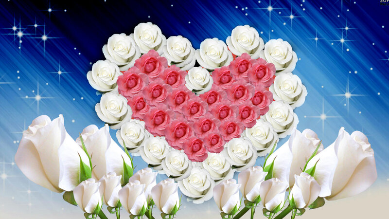Roses Arranged in Heart — Blue