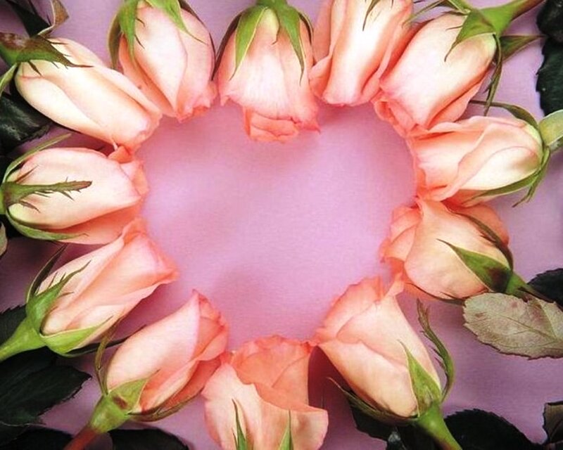 Roses Arranged in Heart