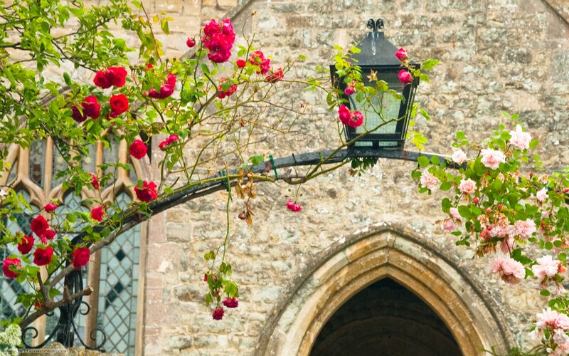 Roses at a stone church
