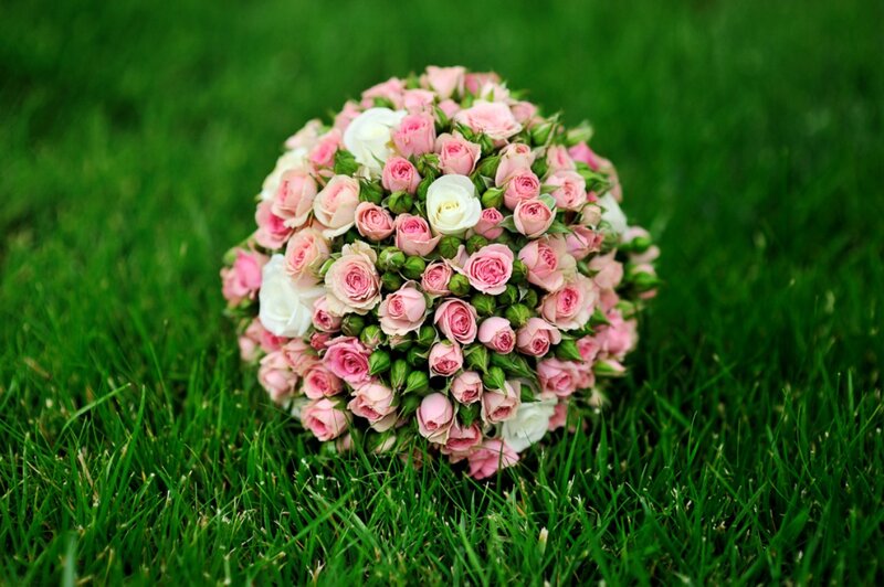 Roses Bouquet on Grass