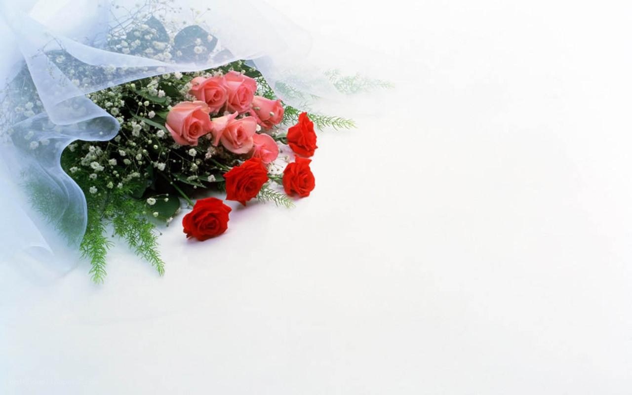 roses bouquet on white