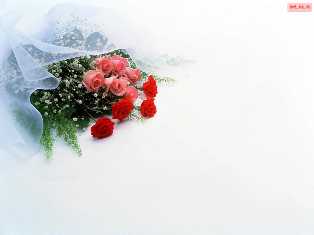 roses bouquet on white background