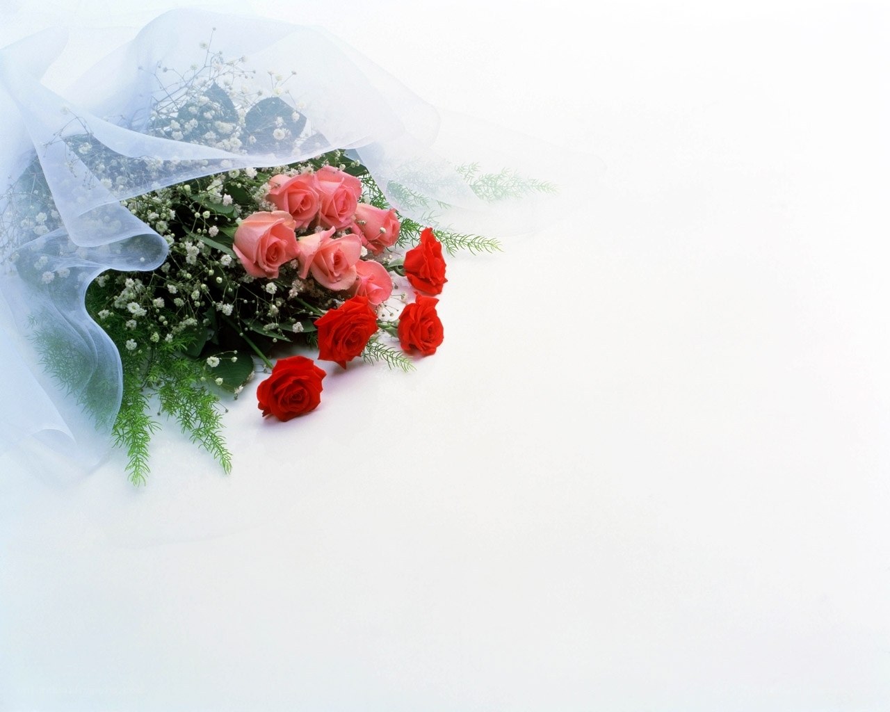 roses bouquet on white