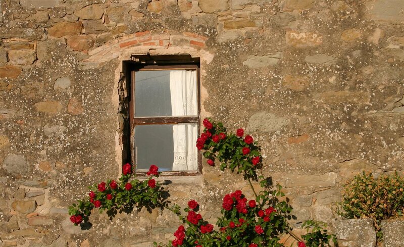 Roses by a stone window