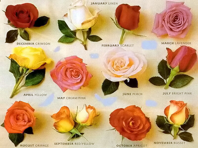 Roses by Month — Red