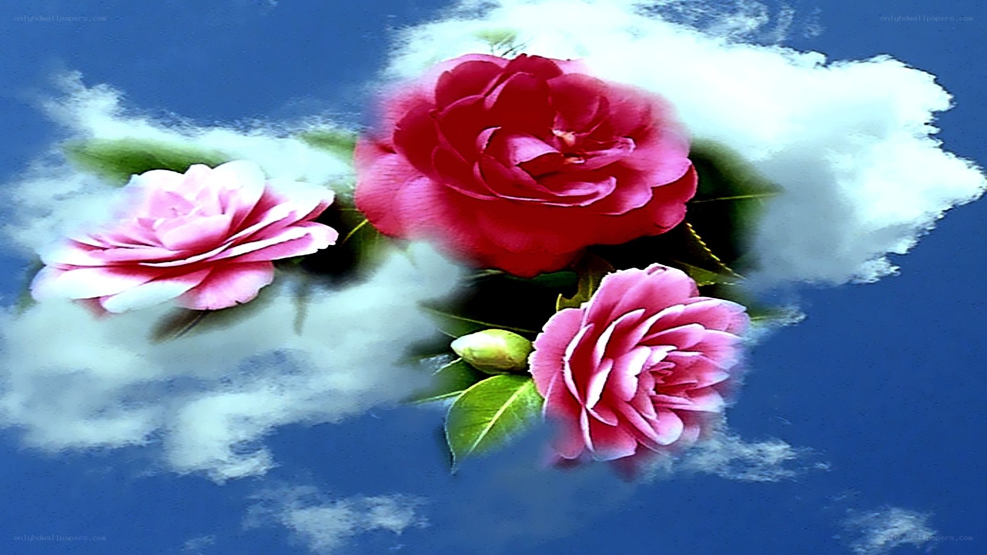 roses floating in the sky