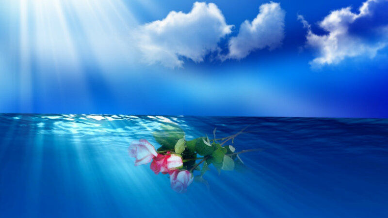 Roses Floating in Water — Blue