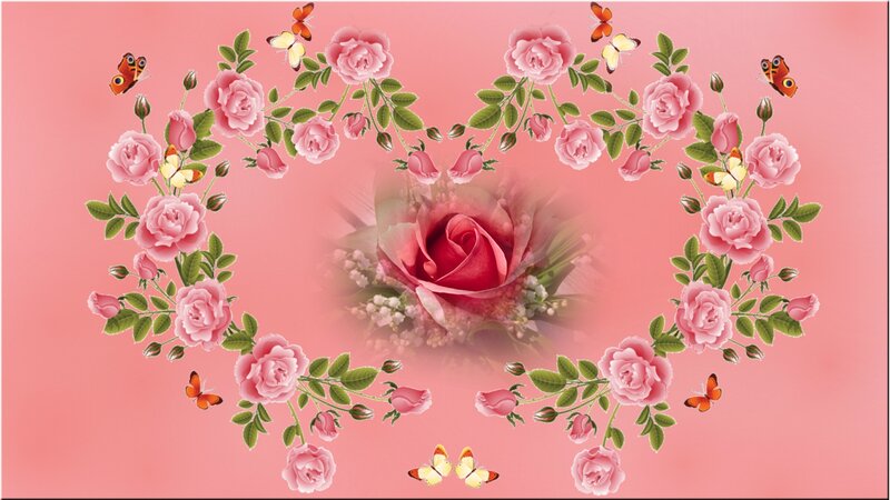 Roses Forming a Heart — Pink