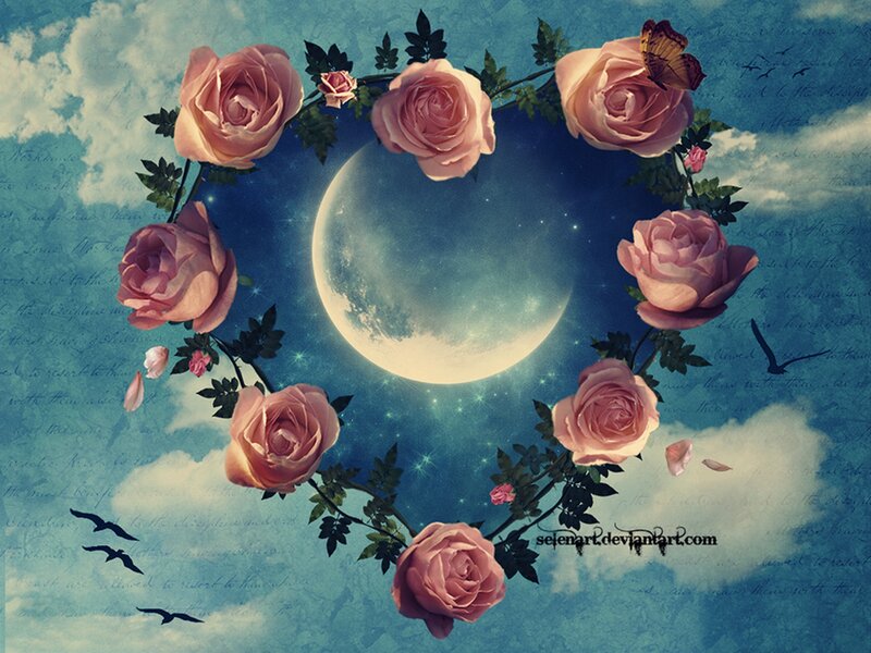 Roses Forming Heart Shape — Blue