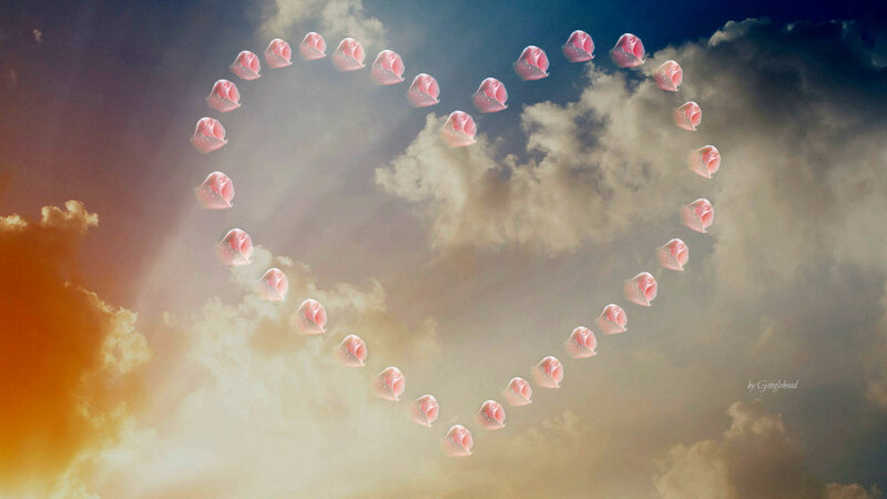 Roses Forming Heart Shape — Pink