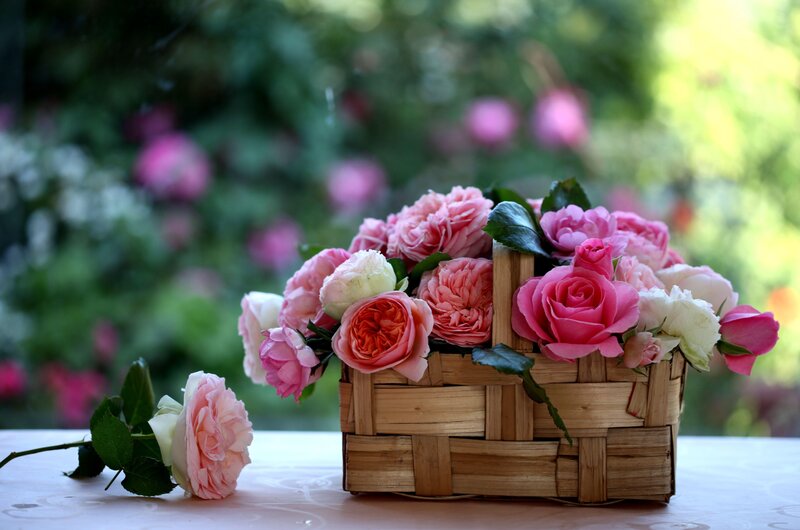 Roses in a basket