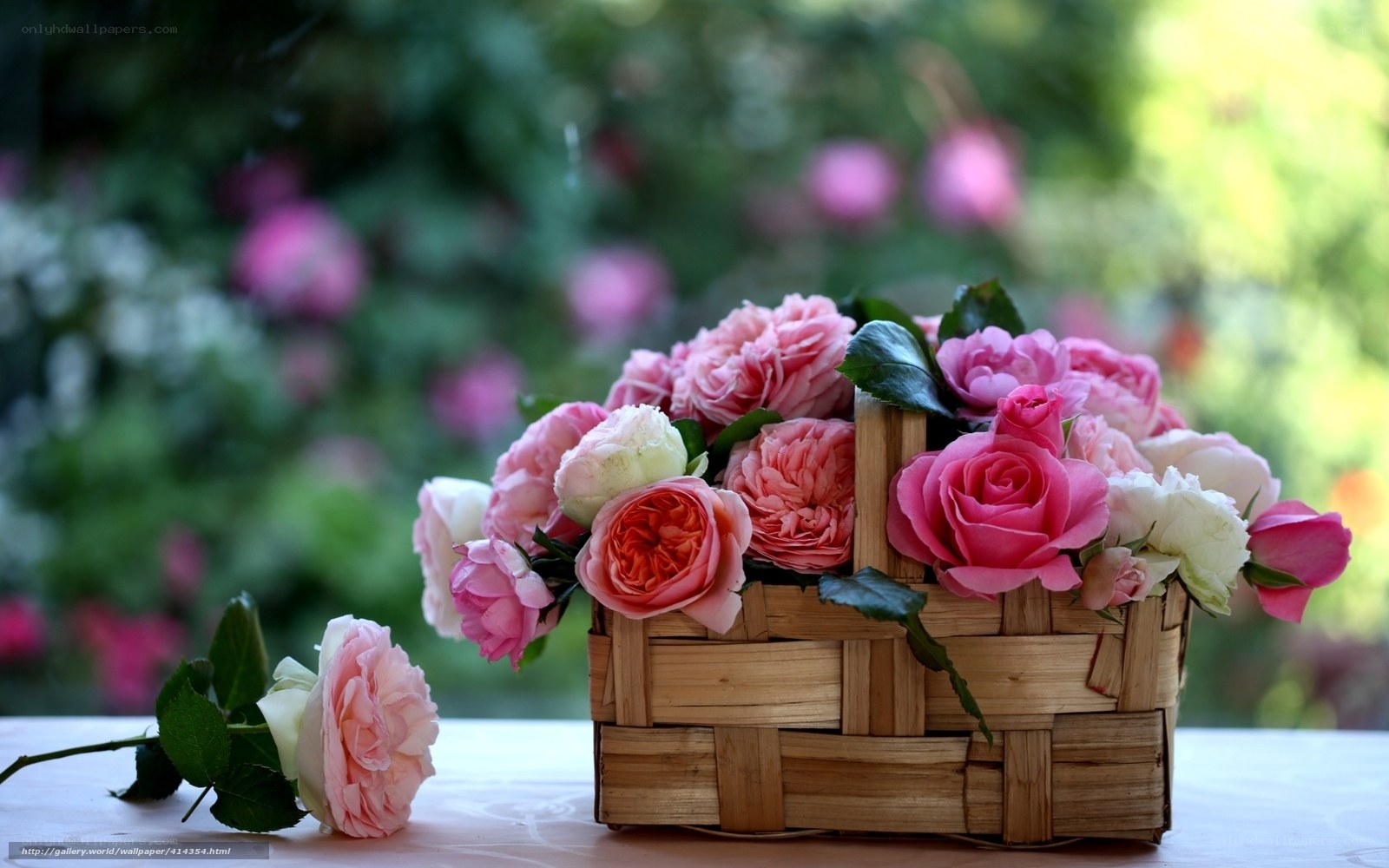 Roses in a basket