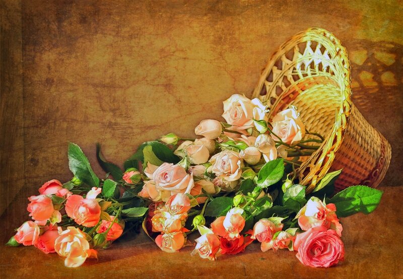 Roses in a Basket — Brown, Serene