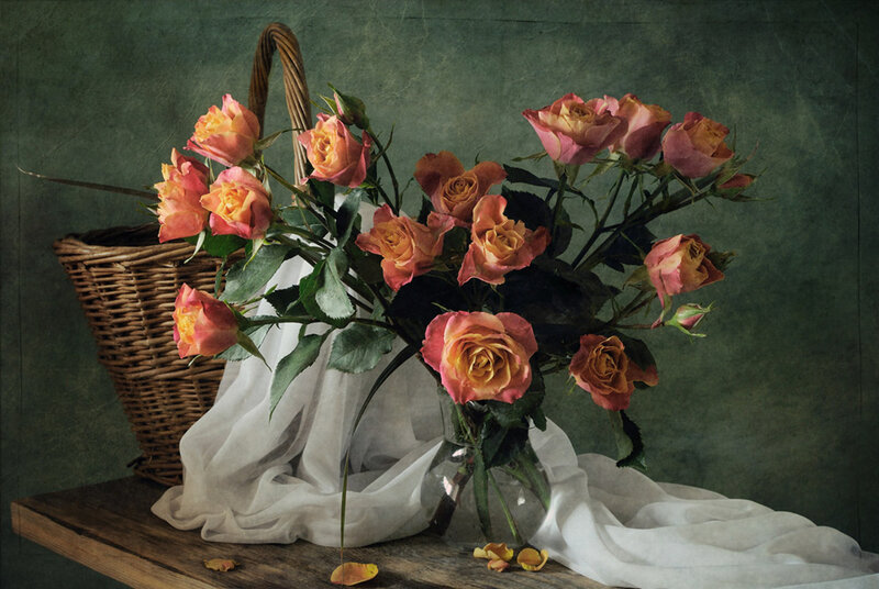 Roses in a Basket — Green, Calm, Photograph