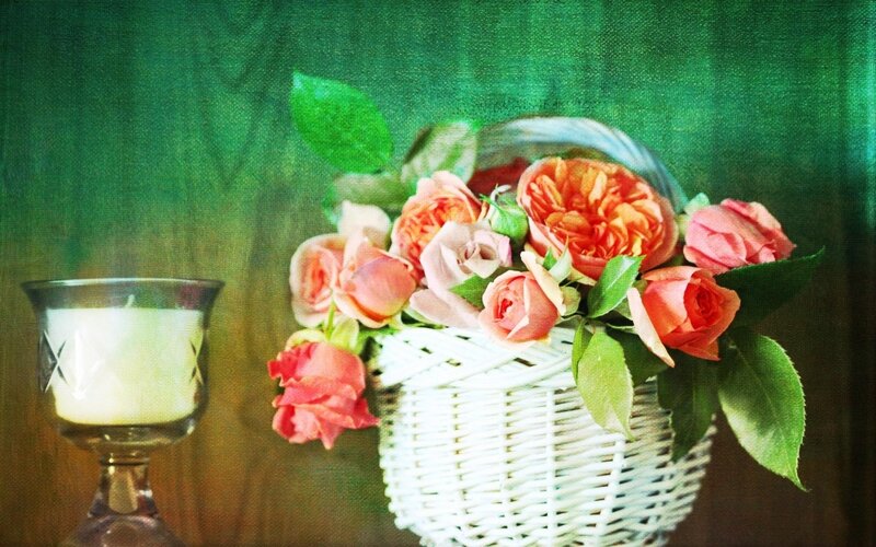 Roses in a Basket — Green, Calm