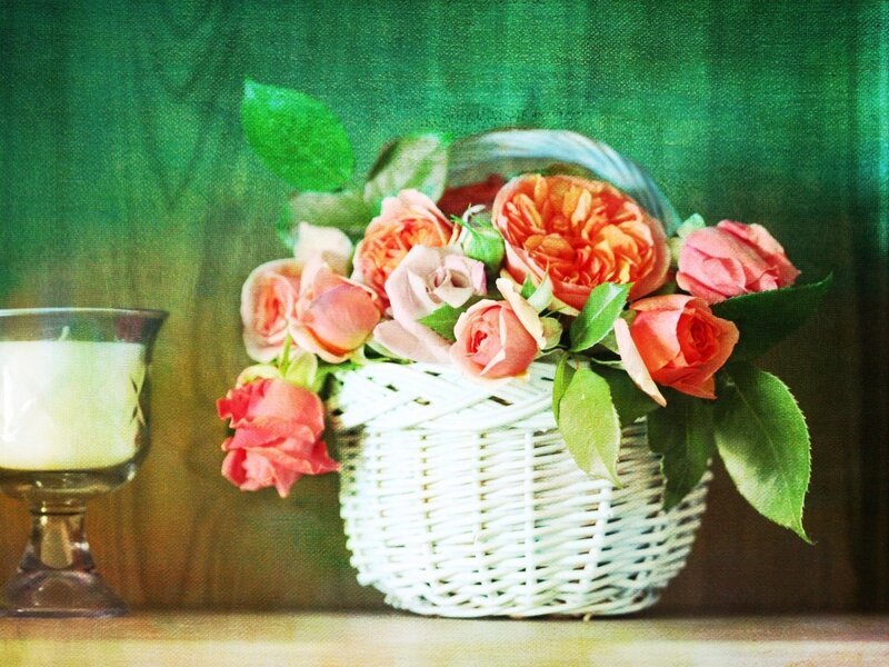 Roses in a Basket — Green, Serene