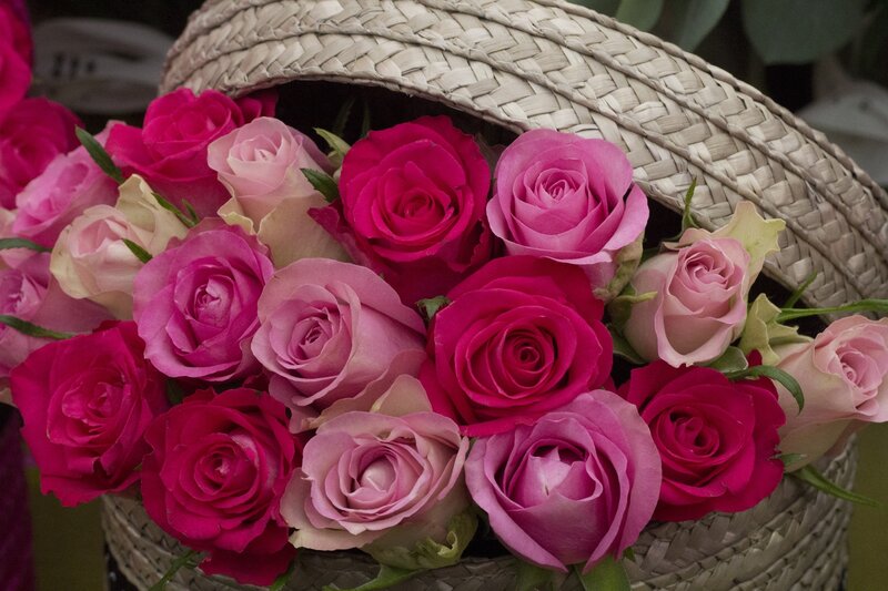Roses in a Basket — Pink, Calm, Photograph, Flowers