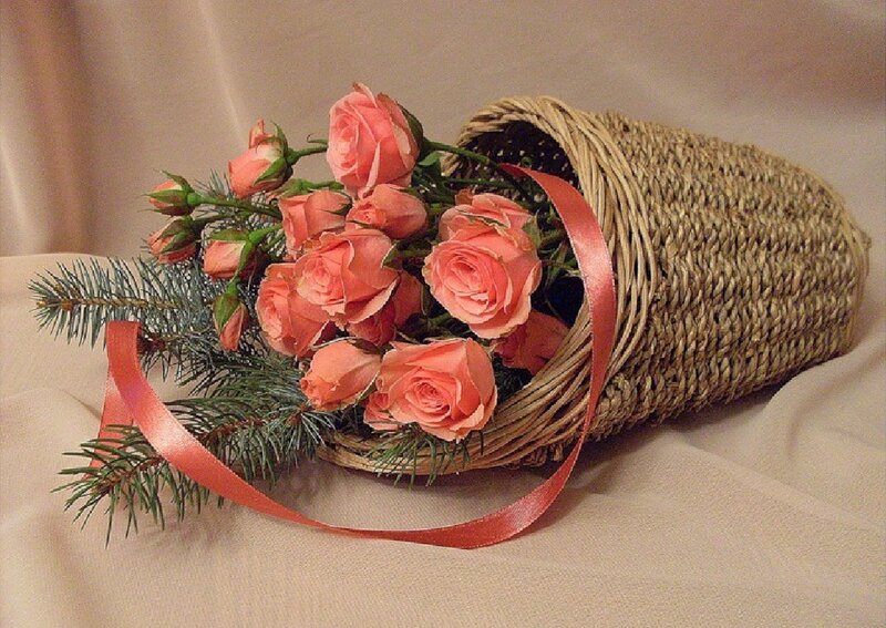 Roses in a Basket — Pink, Calm, Photograph, Ribbon