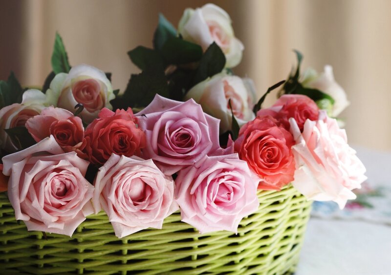 Roses in a Basket — Pink, Calm, Photograph
