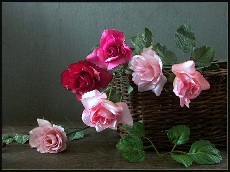 Roses in a Basket — Pink, Calm