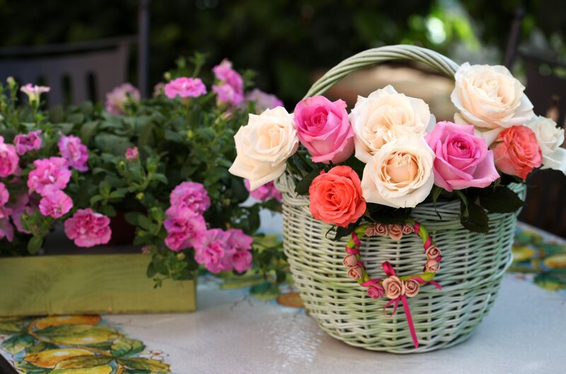 Roses in a Basket — Pink, Serene, Afternoon, Photograph, Flowers, Table