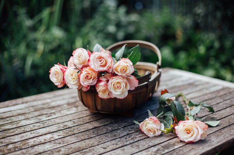 Roses in a Basket — Pink, Serene, Afternoon, Photograph, Table, Flowers