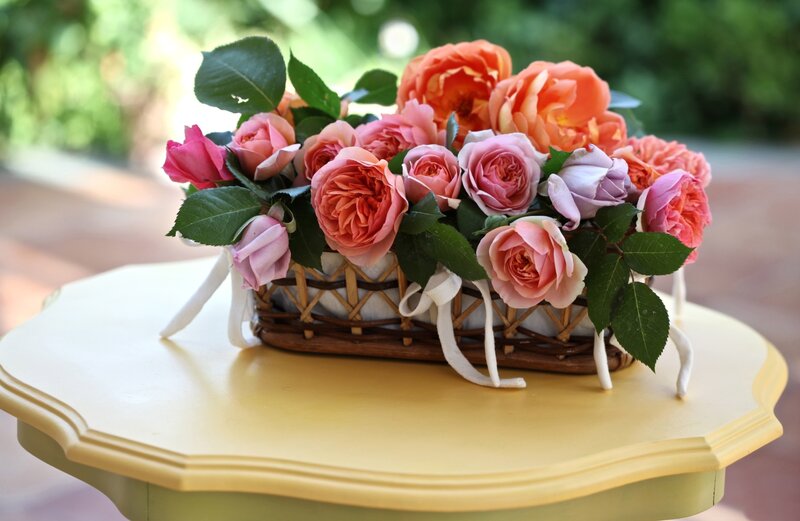 Roses in a Basket — Pink, Serene, Afternoon, Photograph, Table, Leaves
