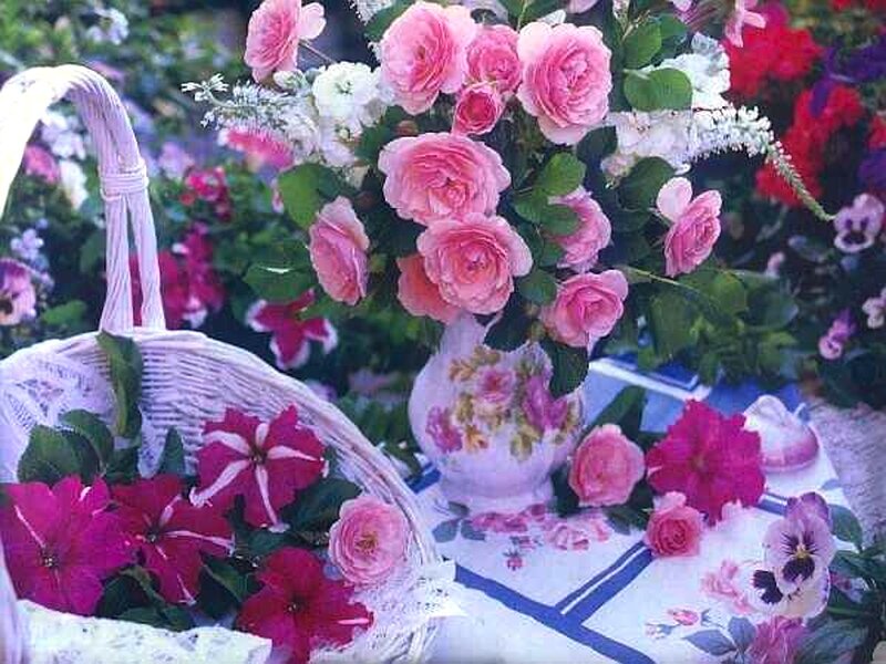 Roses in a Basket — Pink, Serene, Afternoon, Photograph