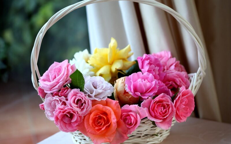 Roses in a Basket — Pink, Serene, Afternoon