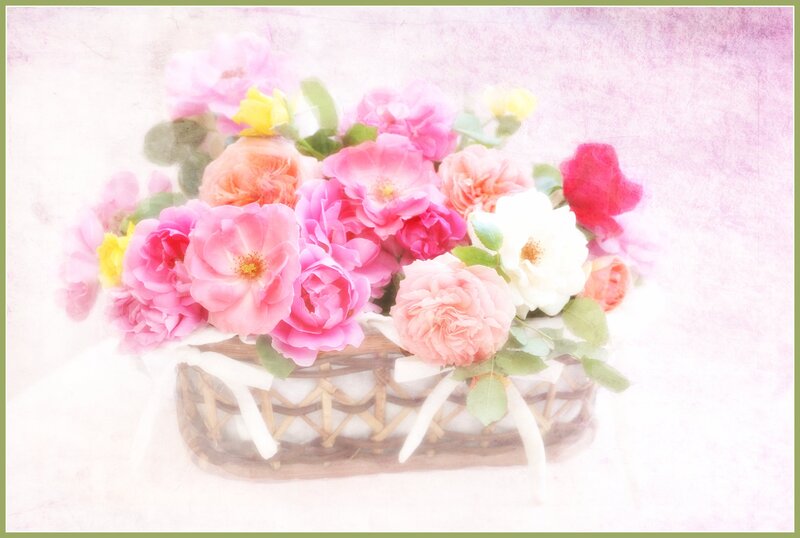 Roses in a Basket — Pink, Serene, Photograph, Flowers