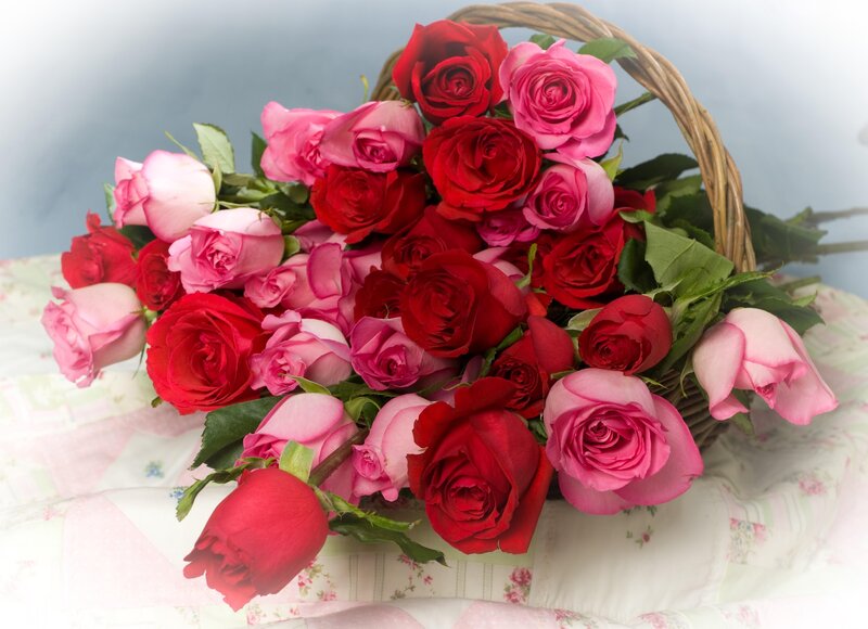 Roses in a Basket — Red, Calm, Photograph