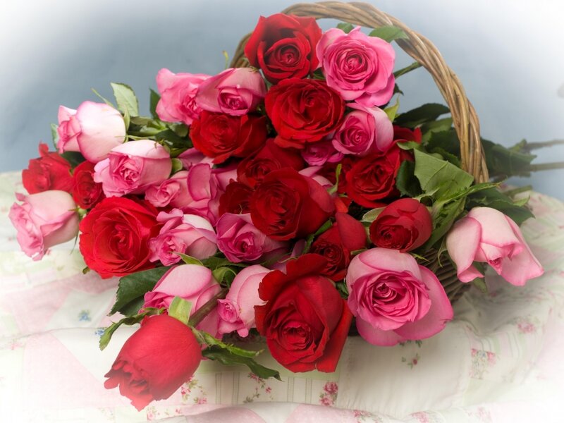 Roses in a Basket — Red, Calm