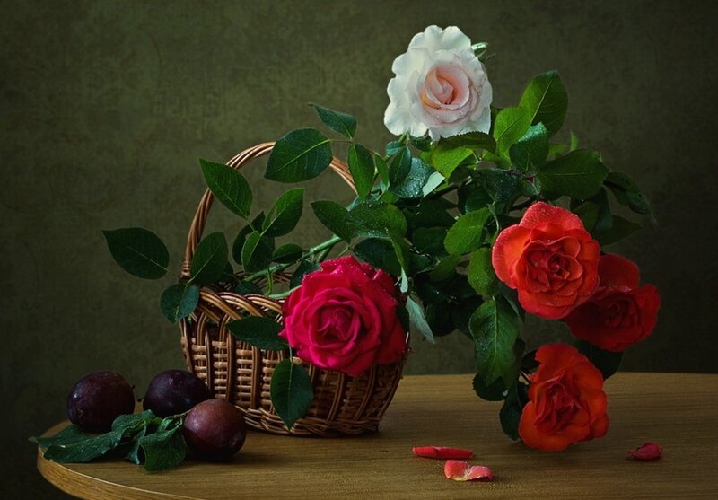 Roses in a Basket — Red, Dramatic, Photograph, Plums