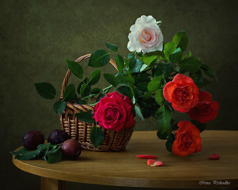 Roses in a Basket — Red, Dramatic, Photograph