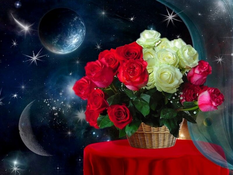 Roses in a Basket — Red, Dreamy