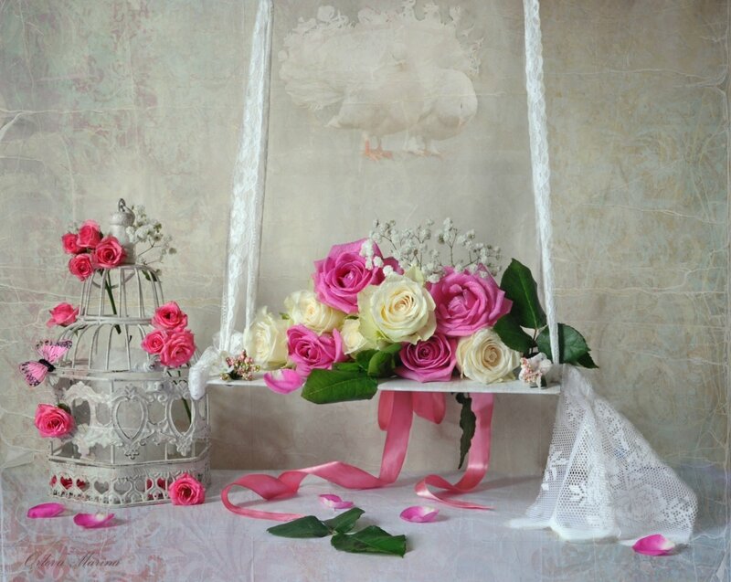 Roses in a Birdcage