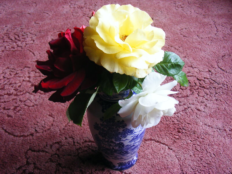 Roses in a blue and white vase